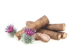 lopian-korzen-equiherbs-ciety-500g