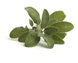 szalwia-equiherbs-ziele-500g