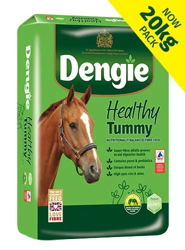 Sieczka dla koni DENGIE Healthy Tummy na układ pokarmowy wrzody 20kg