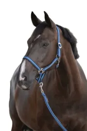 kantar-dla-konia-covalliero-hippo-tasmowy-granatowy-niebieski-cob