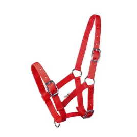 kantar-dla-zrebaka-kucyka-start-czerwony-foal