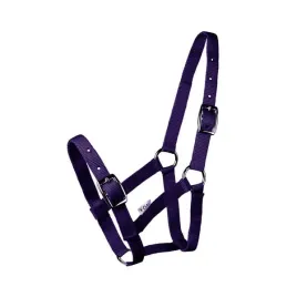 kantar-dla-zrebaka-kucyka-start-granatowy-foal