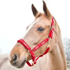kantar-dla-konia-horze-hampton-podszyty-neoprenem-czerwony-pony
