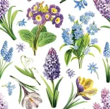 serwetka-daisy-sd-wi-009801