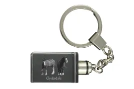 clydesdale-krysztalowy-brelok-ze-zdjeciem-konia-podswietlany-breloczek