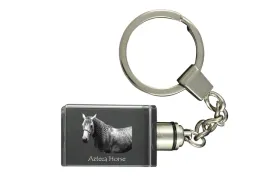 kon-azteca-krysztalowy-brelok-ze-zdjeciem-konia-podswietlany-breloczek
