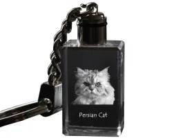 perski-krysztalowy-brelok-ze-zdjeciem-kota-podswietlany-breloczek-wyjat