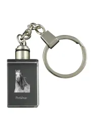 pintabian-krysztalowy-brelok-ze-zdjeciem-konia-podswietlany-breloczek-w