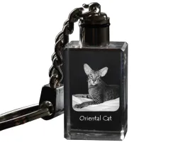 oriental-krysztalowy-brelok-ze-zdjeciem-kota-podswietlany-breloczek-wyj