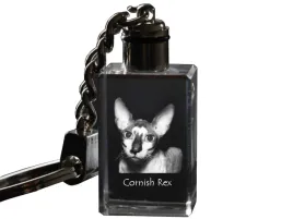 cornish-rex-krysztalowy-brelok-ze-zdjeciem-kota-podswietlany-breloczek