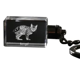 bengalski-krysztalowy-brelok-ze-zdjeciem-kota-podswietlany-breloczek-wy