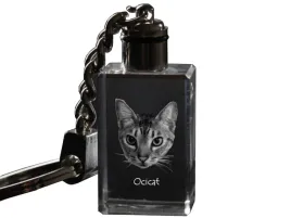 ocicat-krysztalowy-brelok-ze-zdjeciem-kota-podswietlany-breloczek-wyjat