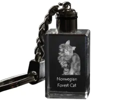 norweski-lesny-krysztalowy-brelok-ze-zdjeciem-kota-podswietlany-brelocze