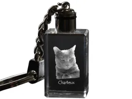 chartreux-krysztalowy-brelok-ze-zdjeciem-kota-podswietlany-breloczek-wy