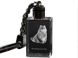 amerykanski-skret-krysztalowy-brelok-ze-zdjeciem-kota-podswietlany-brelo