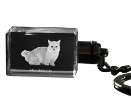 kot-munchkin-krysztalowy-brelok-ze-zdjeciem-kota-podswietlany-breloczek