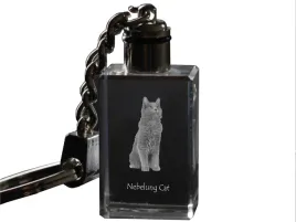 nebelung-krysztalowy-brelok-ze-zdjeciem-kota-podswietlany-breloczek-wyj