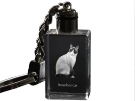 sniezny-but-krysztalowy-brelok-ze-zdjeciem-kota-podswietlany-breloczek