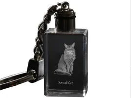 somali-krysztalowy-brelok-ze-zdjeciem-kota-podswietlany-breloczek-wyjat