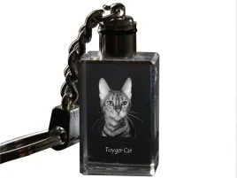 kot-toyger-krysztalowy-brelok-ze-zdjeciem-kota-podswietlany-breloczek-w
