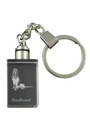 bloodhound-pies-sw-huberta-krysztalowy-brelok-ze-zdjeciem-psa-podswiet