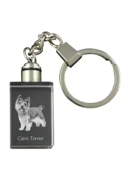 cairn-terrier-krysztalowy-brelok-ze-zdjeciem-psa-podswietlany-breloczek