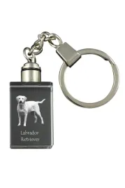 labrador-retriever-i-krysztalowy-brelok-ze-zdjeciem-psa-podswietlany-bre