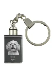lhasa-apso-krysztalowy-brelok-ze-zdjeciem-psa-podswietlany-breloczek-wy