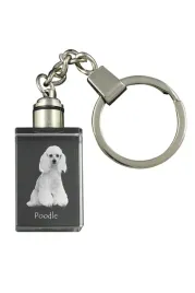 pudel-krysztalowy-brelok-ze-zdjeciem-psa-podswietlany-breloczek-wyjatko