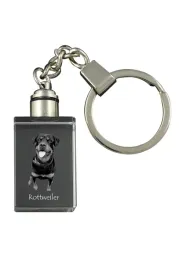 rottweiler-krysztalowy-brelok-ze-zdjeciem-psa-podswietlany-breloczek-wy
