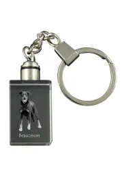 owczarek-francuski-beauceron-krysztalowy-brelok-ze-zdjeciem-psa-podswiet