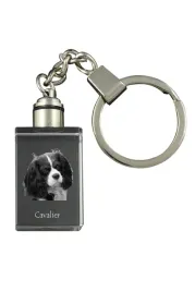 cavalier-king-charles-spaniel-krysztalowy-brelok-ze-zdjeciem-psa-podswie
