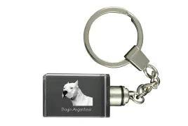 dog-argentynski-dogo-argentino-krysztalowy-brelok-ze-zdjeciem-psa-podsw