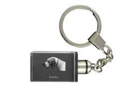 pointer-i-krysztalowy-brelok-ze-zdjeciem-psa-podswietlany-breloczek-wyj
