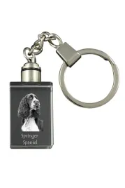 springer-spaniel-angielski-krysztalowy-brelok-ze-zdjeciem-psa-podswietla