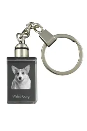 pembroke-welsh-corgi-krysztalowy-brelok-ze-zdjeciem-psa-podswietlany-bre