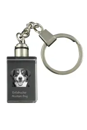 entlebucher-krysztalowy-brelok-ze-zdjeciem-psa-podswietlany-breloczek-w