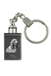 redbone-coonhound-krysztalowy-brelok-ze-zdjeciem-psa-podswietlany-breloc
