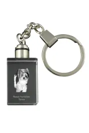 biewer-yorkshire-terrier-krysztalowy-brelok-ze-zdjeciem-psa-podswietlany