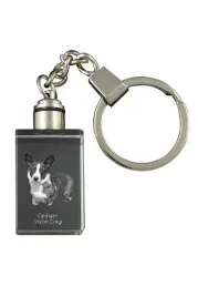 cardigan-welsh-corgi-i-krysztalowy-brelok-ze-zdjeciem-psa-podswietlany-b