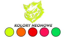 wycinana-naklejka-zly-wsciekly-dzik-kolory-neonowe-j-and-a