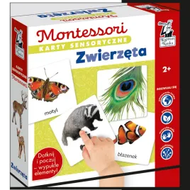 karty-sensoryczne-montessori-zwierzeta-kapitan-nauka
