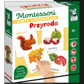 karty-sensoryczne-montessori-przyroda-kapitan-nauka