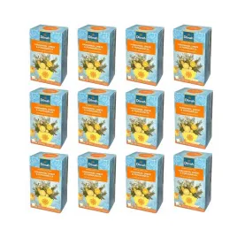 rooibos-dilmah-kardamon-imbir-pomarancza-12-szt