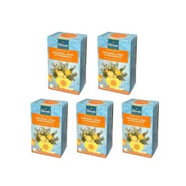 rooibos-dilmah-kardamon-imbir-pomarancza-5-szt
