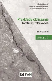 przyklady-obliczania-konstrukcji-zelbetowych-3-michal-knauff