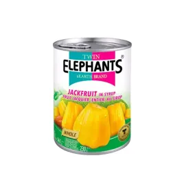 jackfruit-w-syropie-twin-elephants