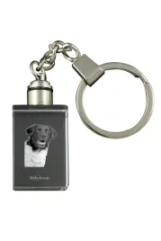 wyzel-fryzyjski-stabyhoun-krysztalowy-brelok-ze-zdjeciem-psa-podswietla