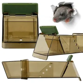 myszolapka-lapka-pulapka-na-myszy-szczury-humanitarna