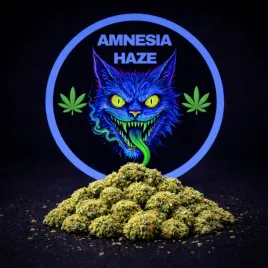 susz-cbd-amnesia-haze-223percent-30g-susz-konopny-premium-aromat-ziemisty-gratis